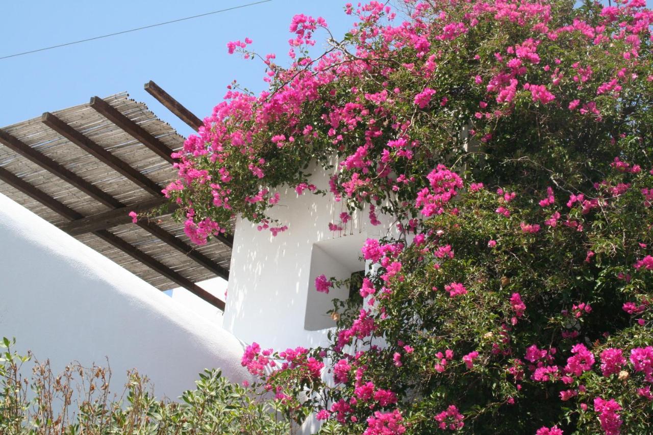 Petra Holiday Village Chora  Buitenkant foto