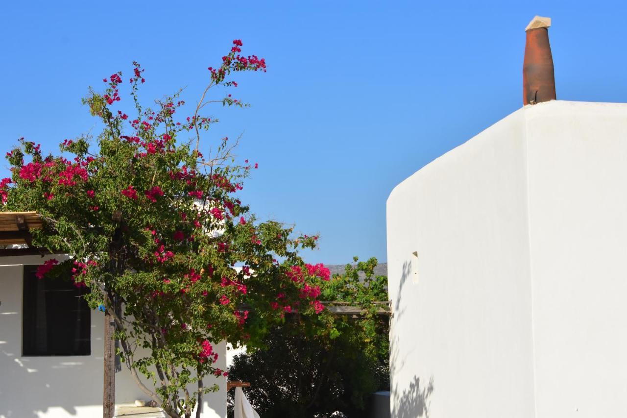 Petra Holiday Village Chora  Buitenkant foto